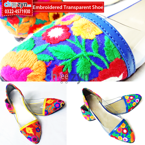 Embroidered Transparent Shoe