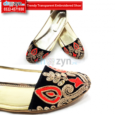 Trendy Transparent Embroidered Shoe